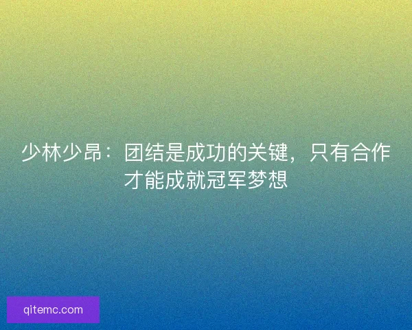 少林少昂：团结是成功的关键，只有合作才能成就冠军梦想